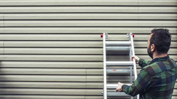 Best Siding Replacement  in Rogersville, AL