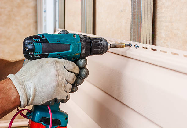 Best Custom Trim and Detailing for Siding  in Rogersville, AL